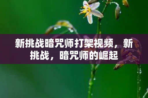 新挑战暗咒师打架视频，新挑战，暗咒师的崛起