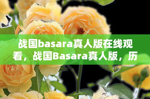 战国basara真人版在线观看，战国Basara真人版，历史与传说的碰撞