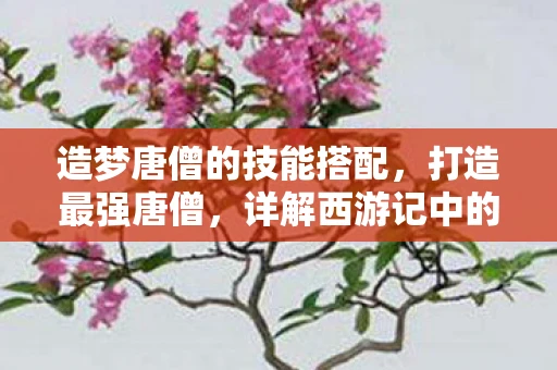 造梦唐僧的技能搭配，打造最强唐僧，详解西游记中的经典配招