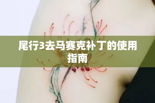 尾行3去马赛克补丁的使用指南图片
