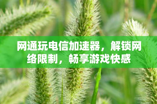 网通玩电信加速器，解锁网络限制，畅享游戏快感