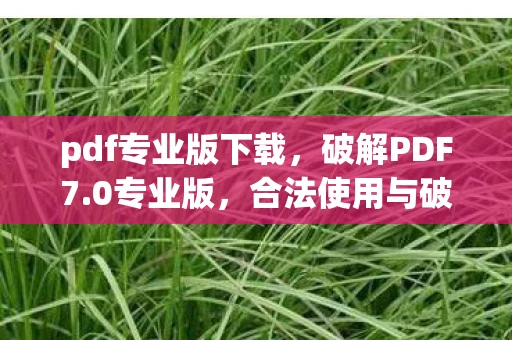 pdf专业版下载，破解PDF7.0专业版，合法使用与破解风险