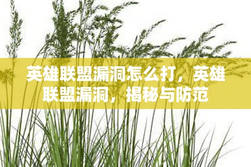 英雄联盟漏洞怎么打，英雄联盟漏洞，揭秘与防范