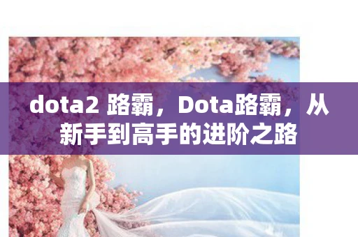 dota2 路霸，Dota路霸，从新手到高手的进阶之路