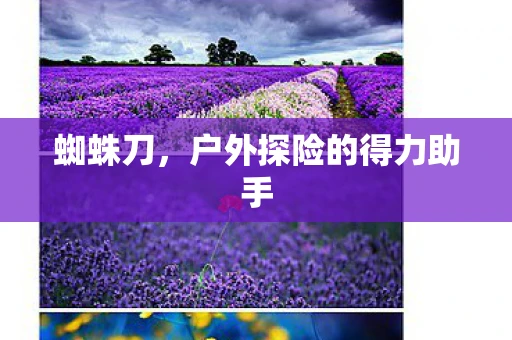 蜘蛛刀，户外探险的得力助手