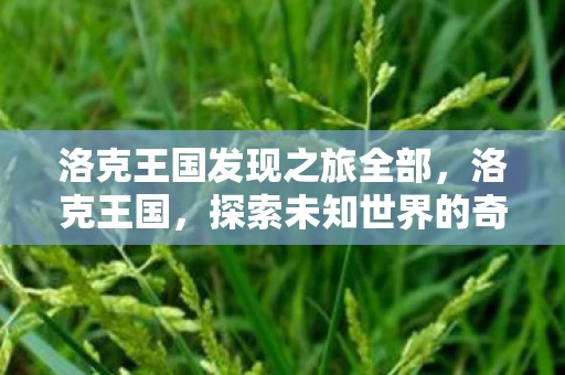 洛克王国发现之旅全部，洛克王国，探索未知世界的奇妙之旅