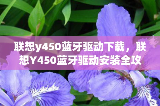 联想y450蓝牙驱动下载，联想Y450蓝牙驱动安装全攻略