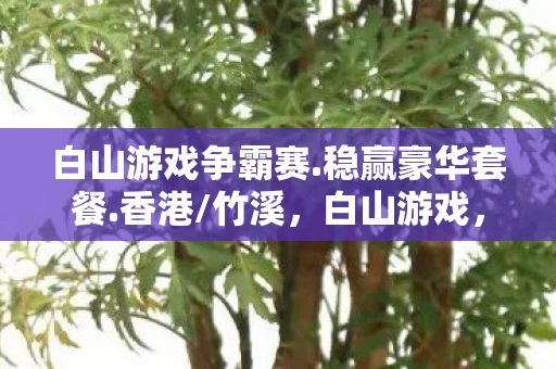 白山游戏争霸赛.稳赢豪华套餐.香港/竹溪，白山游戏，探索未知，挑战极限