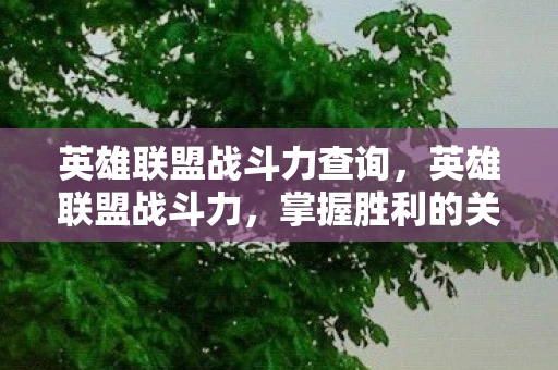 英雄联盟战斗力查询，英雄联盟战斗力，掌握胜利的关键