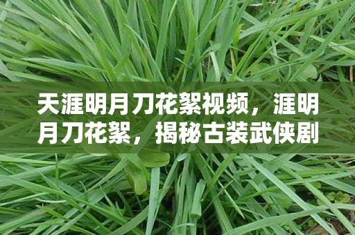 天涯明月刀花絮视频，涯明月刀花絮，揭秘古装武侠剧的幕后故事