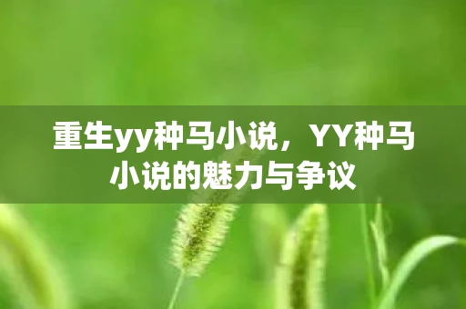 重生yy种马小说，YY种马小说的魅力与争议