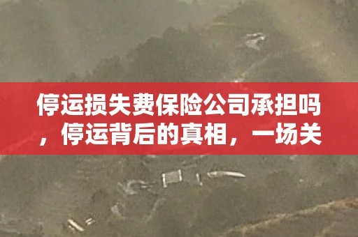 停运损失费保险公司承担吗，停运背后的真相，一场关于城市生活的深度剖析