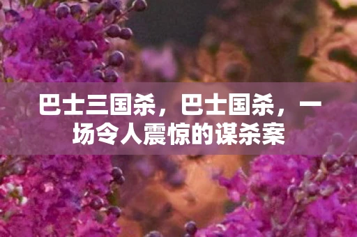 巴士三国杀，巴士国杀，一场令人震惊的谋杀案