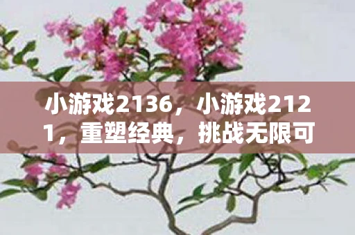 小游戏2136，小游戏2121，重塑经典，挑战无限可能