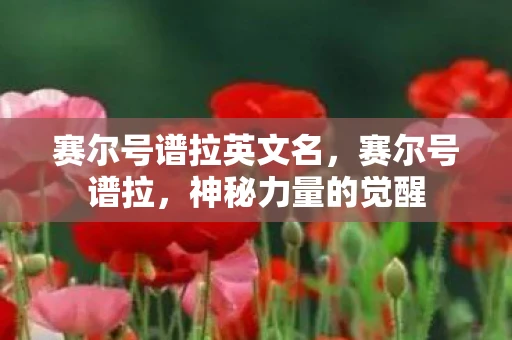 赛尔号谱拉英文名，赛尔号谱拉，神秘力量的觉醒