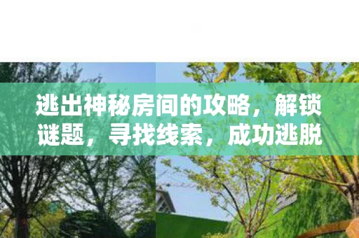 逃出神秘房间的攻略图片