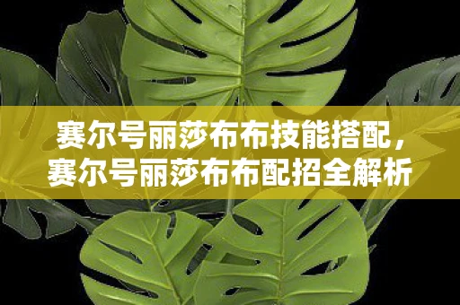 赛尔号丽莎布布技能搭配，赛尔号丽莎布布配招全解析，打造最强草系精灵的攻略