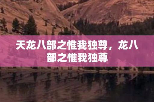 天龙八部之惟我独尊，龙八部之惟我独尊