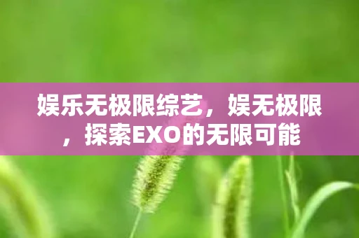 娱乐无极限综艺，娱无极限，探索EXO的无限可能