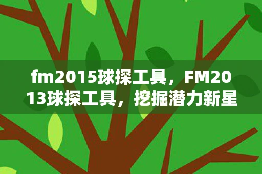 fm2015球探工具，FM2013球探工具，挖掘潜力新星，打造梦幻阵容