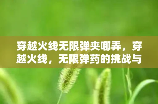 穿越火线无限弹夹哪弄，穿越火线，无限弹药的挑战与荣耀
