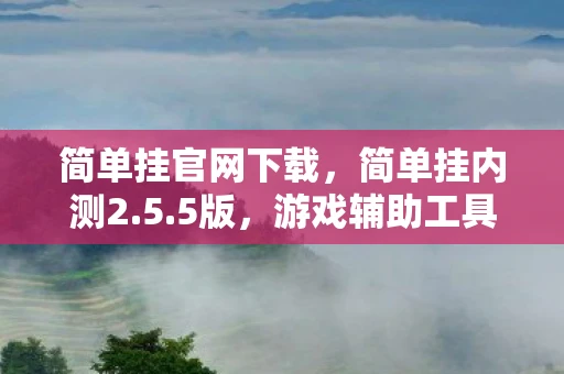 简单挂官网下载，简单挂内测2.5.5版，游戏辅助工具的新飞跃