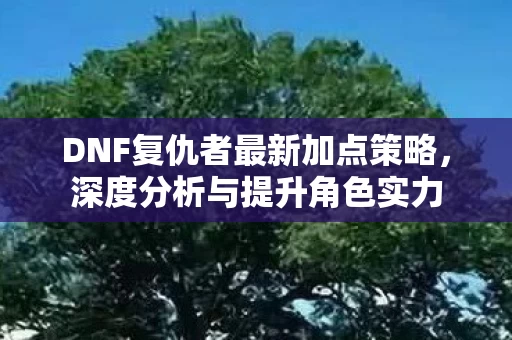 DNF复仇者最新加点策略图片
