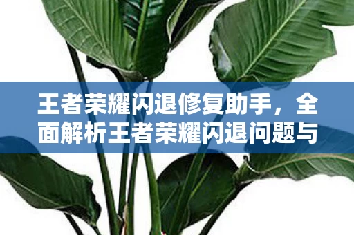 全面解析王者荣耀闪退问题与解决方案图片