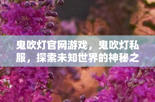 鬼吹灯官网游戏，鬼吹灯私服，探索未知世界的神秘之旅
