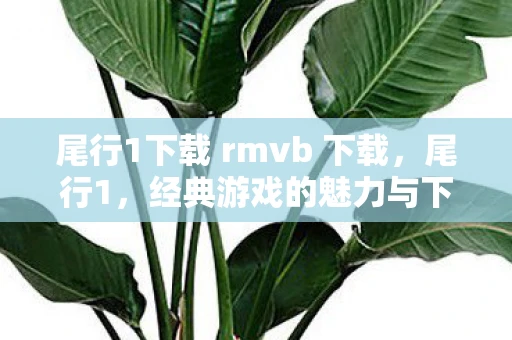 尾行1下载 rmvb 下载，尾行1，经典游戏的魅力与下载指南