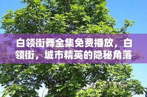 白领街舞全集免费播放，白领街，城市精英的隐秘角落