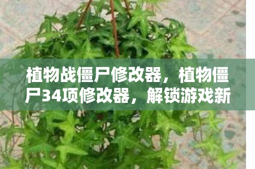 植物战僵尸修改器，植物僵尸34项修改器，解锁游戏新体验