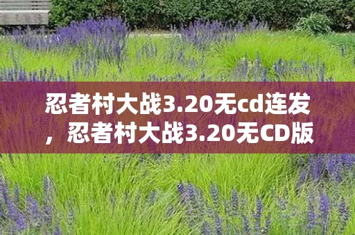 忍者村大战3.20无cd连发，忍者村大战3.20无CD版本，重温经典，挑战极限