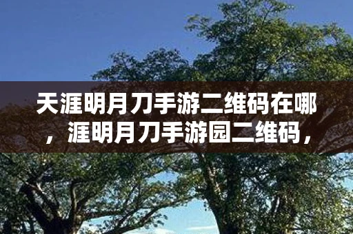 天涯明月刀手游二维码在哪,涯明月刀手游园二维码,解锁神秘园区的秘密 天涯明月刀手游二维码在哪,涯明月刀手游园二维码,解锁神秘园区的秘密