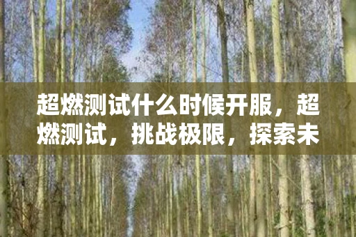 超燃测试什么时候开服,超燃测试,挑战极限,探索未知 超燃测试什么时候开服,超燃测试,挑战极限,探索未知