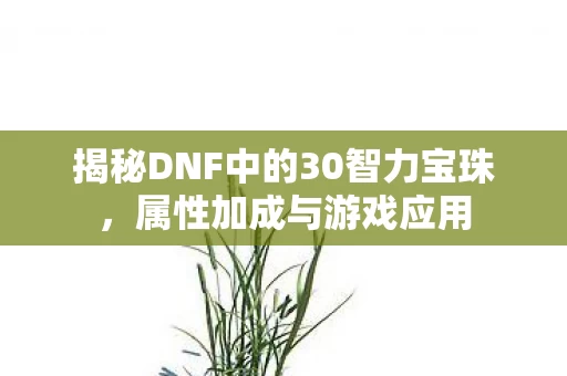 揭秘DNF中的30智力宝珠图片
