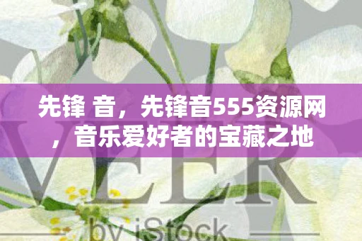 先锋 音，先锋音555资源网，音乐爱好者的宝藏之地