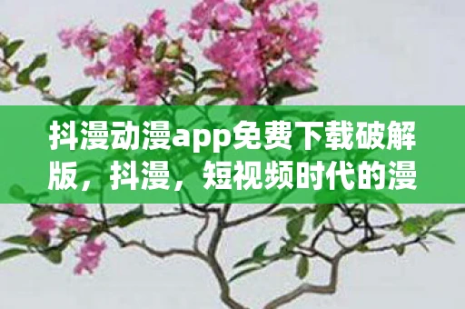 抖漫动漫app免费下载破解版,抖漫,短视频时代的漫画新生态 抖漫动漫app免费下载破解版,抖漫,短视频时代的漫画新生态