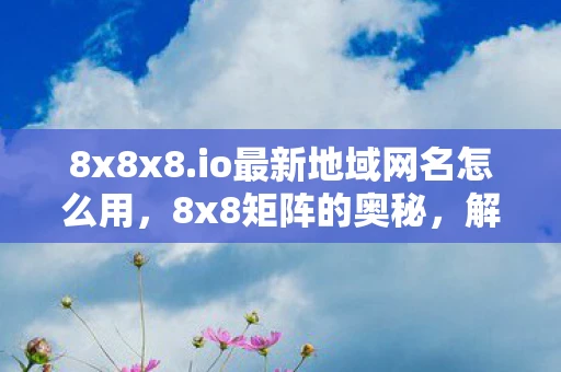 8x8x8.io最新地域网名怎么用，8x8矩阵的奥秘，解锁数字世界的奇妙规律