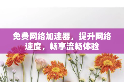 免费网络加速器，提升网络速度，畅享流畅体验