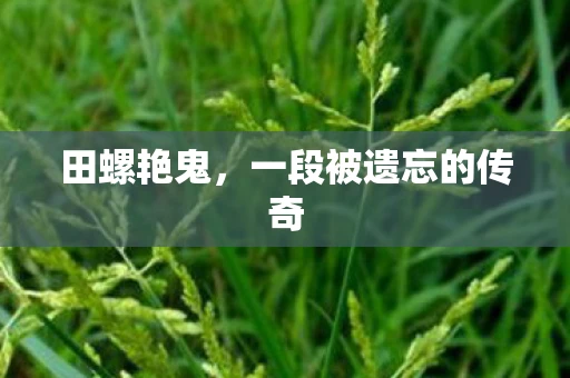 田螺艳鬼,一段被遗忘的传奇 田螺艳鬼,一段被遗忘的传奇