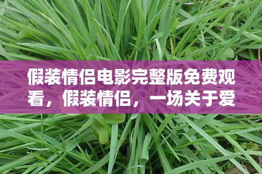 假装情侣电影完整版免费观看，假装情侣，一场关于爱情与自由的奇妙探索