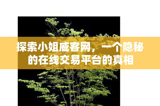 探索小姐威客网,一个隐秘的在线交易平台的真相 探索小姐威客网,一个隐秘的在线交易平台的真相