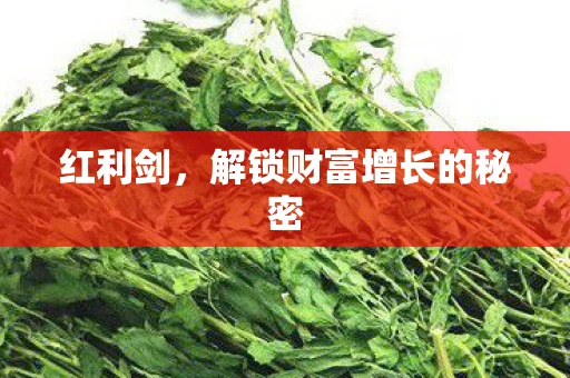 红利剑，解锁财富增长的秘密