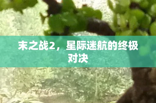 末之战2,星际迷航的终极对决 末之战2,星际迷航的终极对决