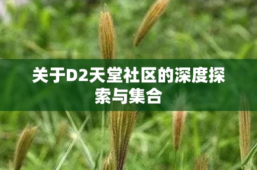 关于D2天堂社区的深度探索与集合图片