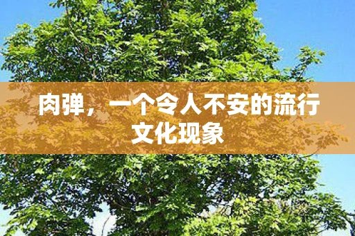 肉弹，一个令人不安的流行文化现象