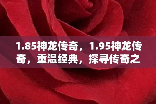 1.85神龙传奇，1.95神龙传奇，重温经典，探寻传奇之路