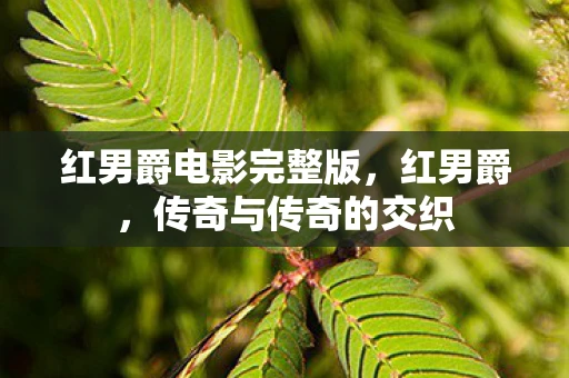 红男爵电影完整版,红男爵,传奇与传奇的交织 红男爵电影完整版,红男爵,传奇与传奇的交织