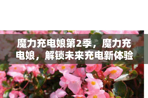 魔力充电娘第2季，魔力充电娘，解锁未来充电新体验